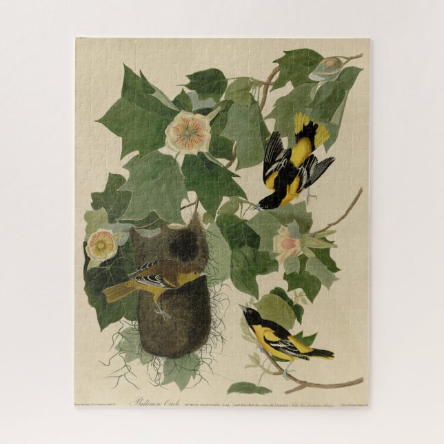 Puzzle Baltimore Oriole - d'Audubon's Birds of America (Vertical)