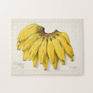 Puzzle Bananes (Musa) Peinture à l'aquarelle de fruits