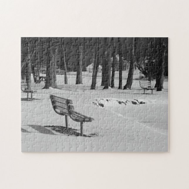 Puzzle Banquettes de parc au milieu des hivers Plaisir en (Horizontal)