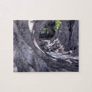 Puzzle Banyan Trees sur la rue Banyan