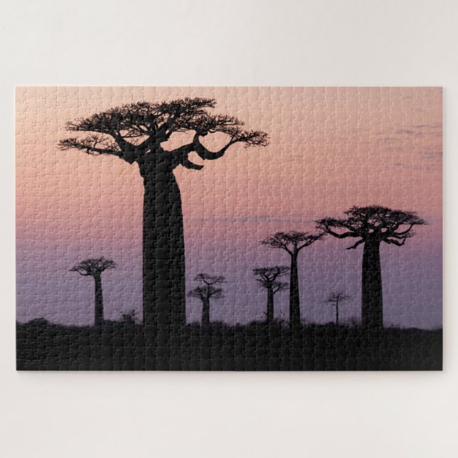 Puzzle Baobab Alley', Madagascar, Morondava, Afrique, (Horizontal)
