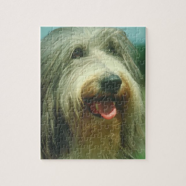 Puzzle barbu de chien de colley (Vertical)