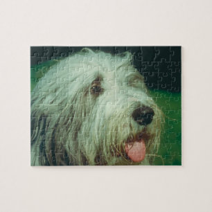 Puzzle barbu de chien de colley