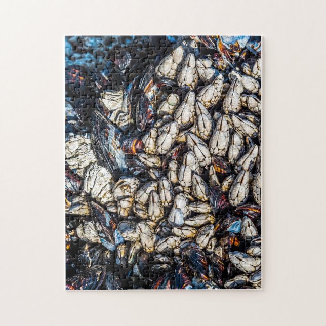 Puzzle Barnacles de moules et de gooseneck - Tofino, C.-B (Vertical)