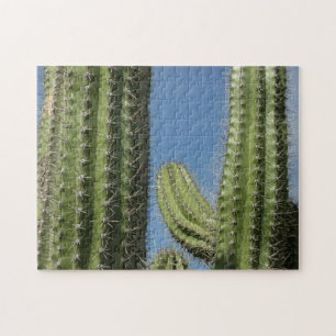 Puzzle Barrel Cactus I Desert Photo
