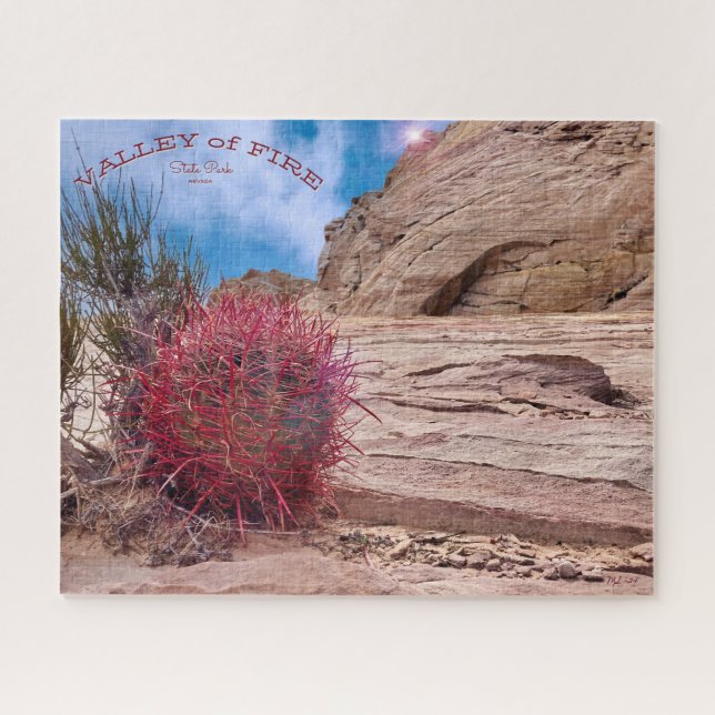 Puzzle Barrel Cactus, Valley Fire State Park, Nevada (Horizontal)