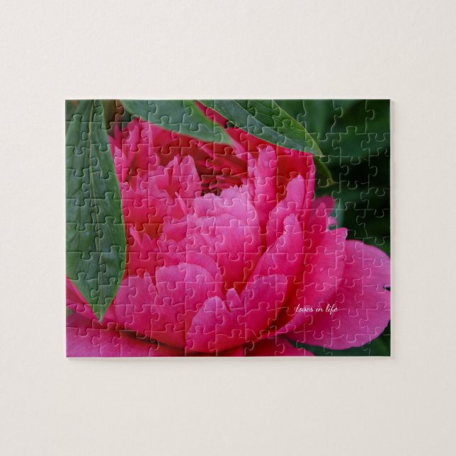 Puzzle Bashful Pink Peony (Horizontal)
