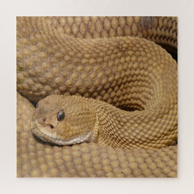 Puzzle Basilisk Viper Rattlesnake (Vertical)