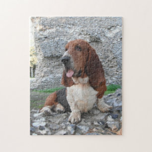 Puzzle Basset Hound visitant le château