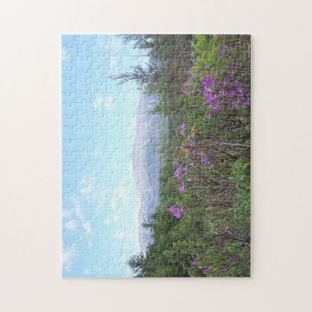 Puzzle Bâti Katahdin et fleurs sauvages (Vertical)