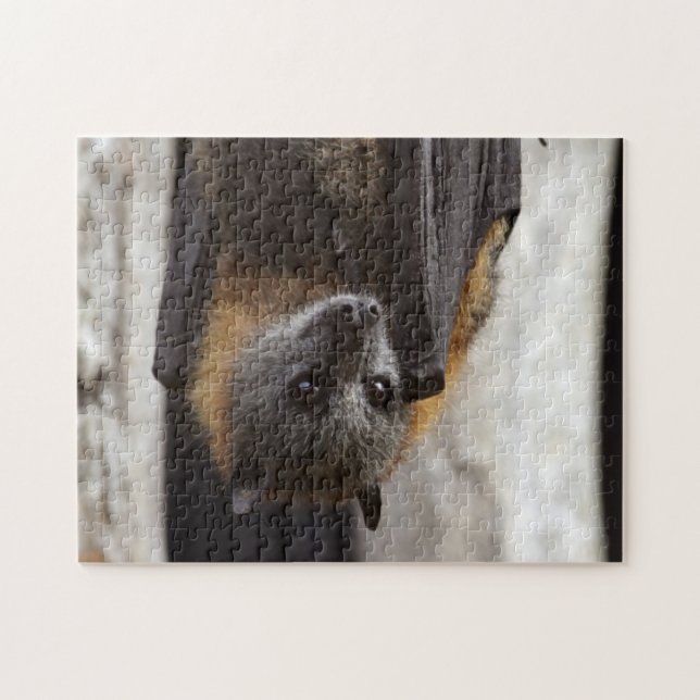 Puzzle Batte australienne (Horizontal)