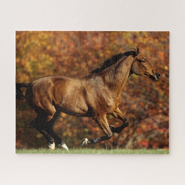Puzzle Bay Warmblood Running Automne Arrière - plan (Horizontal)