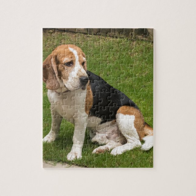 Puzzle Beagle (Vertical)
