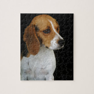 Puzzle Beagle classique
