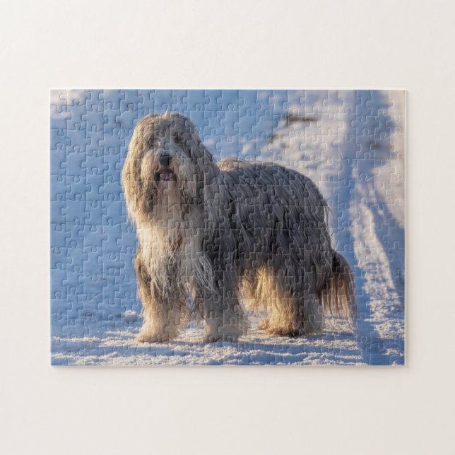 Puzzle Bearded Collie in the snow (Horizontal)