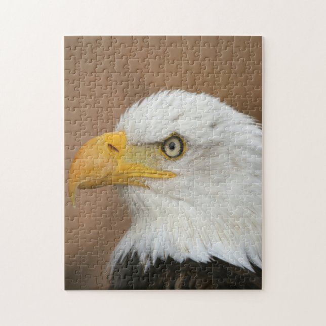 Puzzle Beau aigle à tête blanche (Vertical)