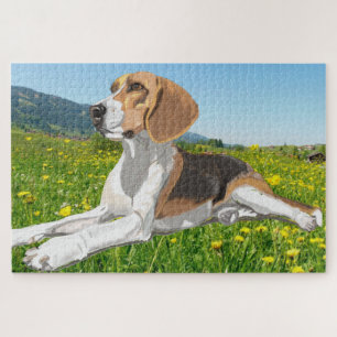 Puzzle Beau Beagle allongé dans une prairie fleurie