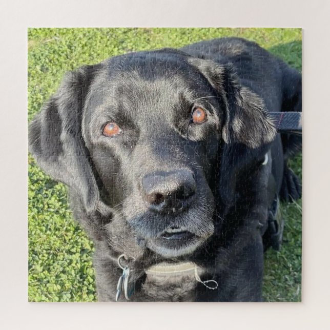 Puzzle Beau Black Lab (Vertical)