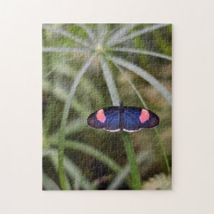 Puzzle Beau Bleu Papillon Nature Photographie Jardin