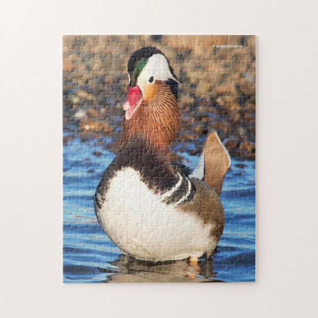 Puzzle Beau canard Chatty Mandarin sur le rivage (Vertical)