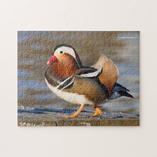 Puzzle Beau canard Mandarin sur la promenade (Horizontal)