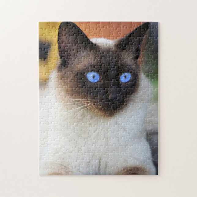 Puzzle Beau chat chaton siamois Kitten (Vertical)
