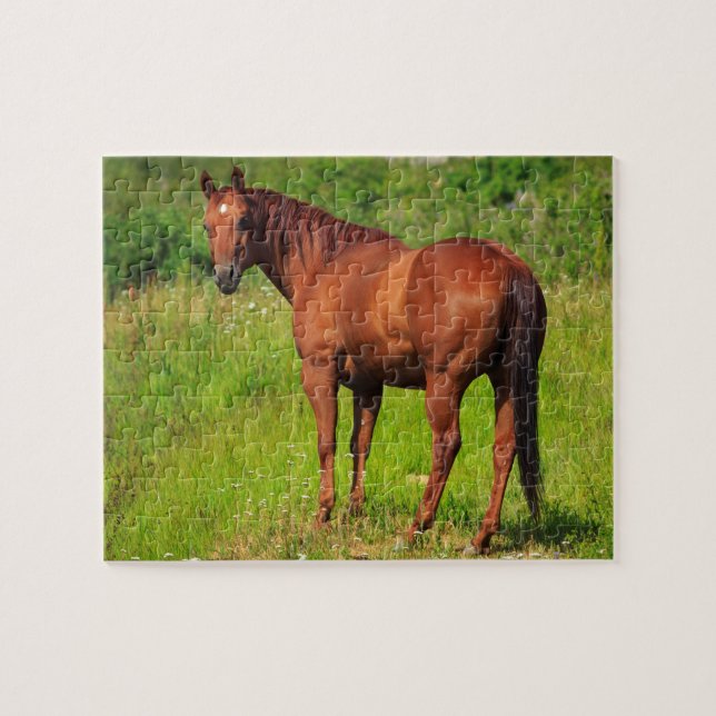 Puzzle Beau Cheval (Horizontal)