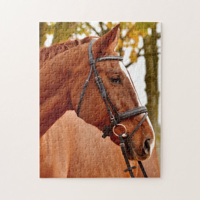 Puzzle Beau cheval Brown (Vertical)