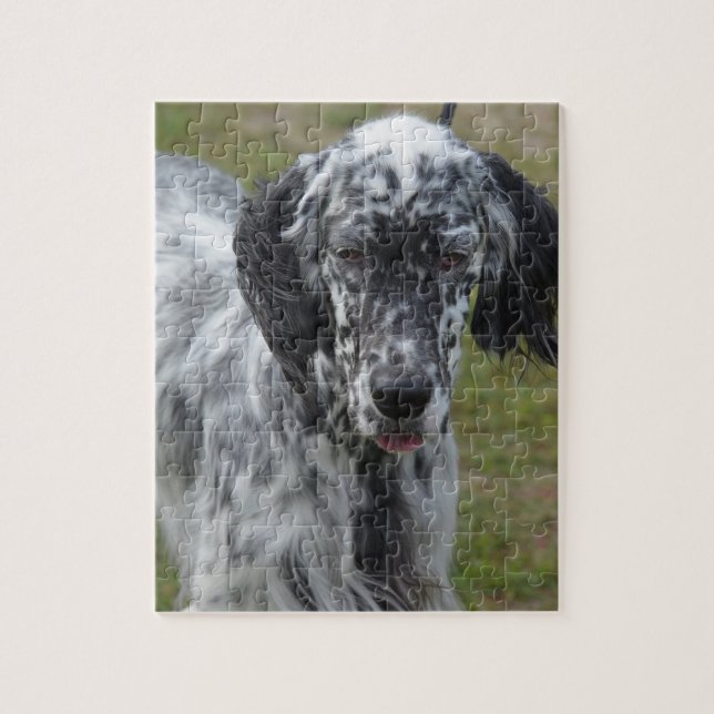Puzzle Beau chien de poseur anglais (Vertical)