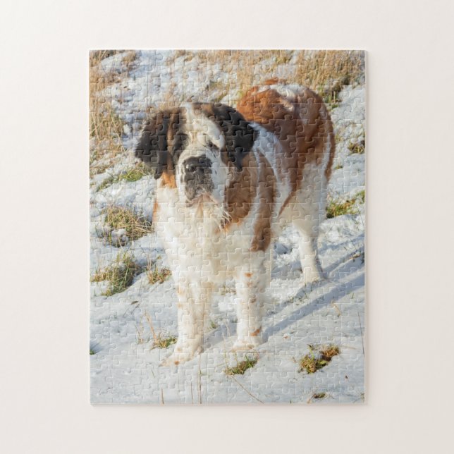 Puzzle Beau chien Saint Bernard (Vertical)