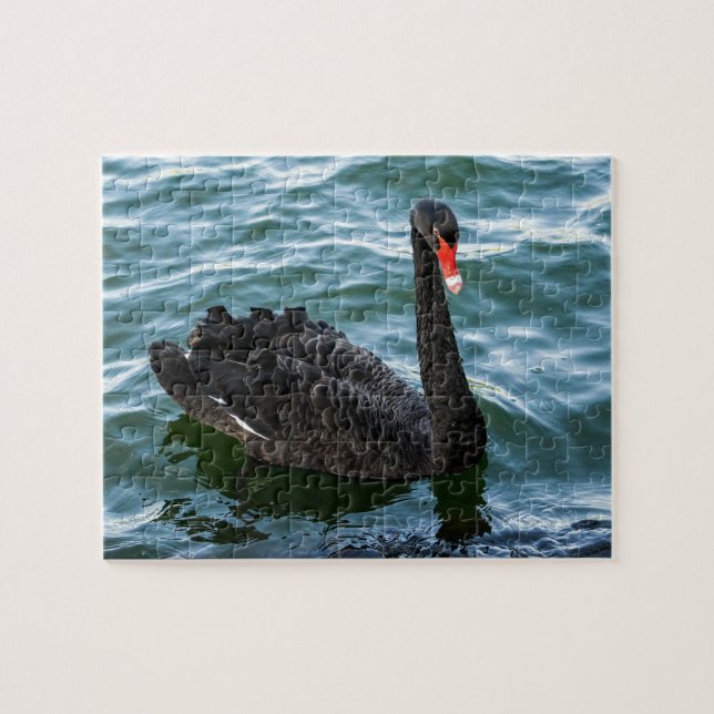 Puzzle Beau cygne noir (Horizontal)