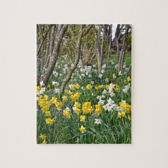 Puzzle Beau jardin de jonquilles de printemps (Vertical)