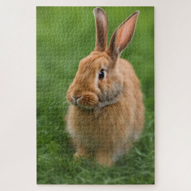 Puzzle Beau lapin (Vertical)