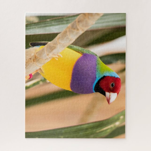 Puzzle Beau Oiseau coloré Zebra Finch (Vertical)