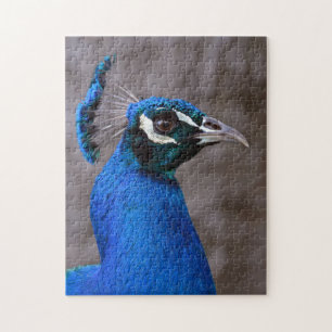 Puzzle Beau paon