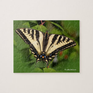Puzzle Beau papillon de l'Ouest de Tigre Swallowtail