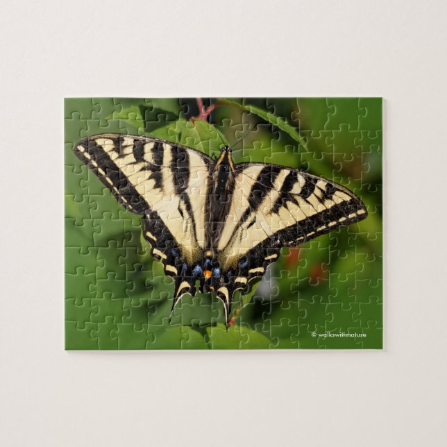 Puzzle Beau papillon de l'Ouest de Tigre Swallowtail (Horizontal)
