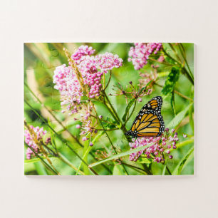 Puzzle Beau papillon et nature Fleur sauvage