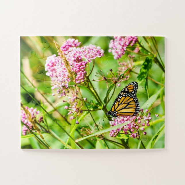 Puzzle Beau papillon et nature Fleur sauvage (Horizontal)