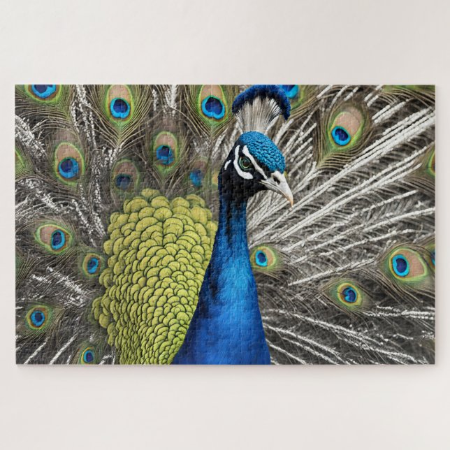 Puzzle Beau Peacock (Horizontal)