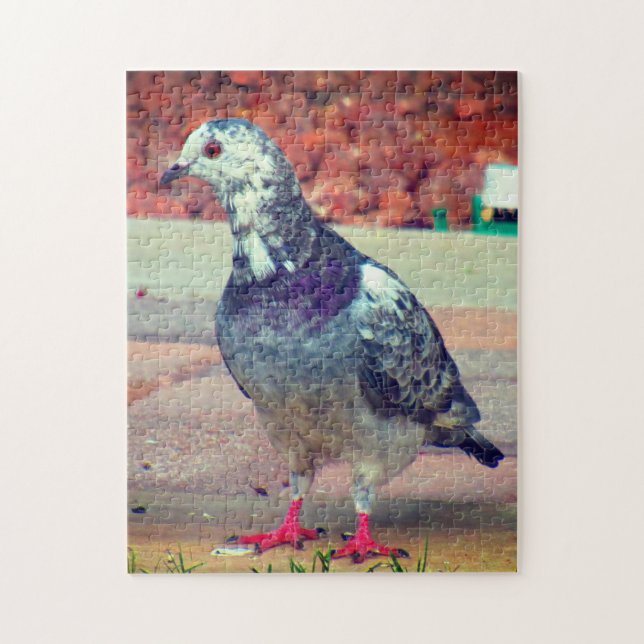 Puzzle Beau Pigeon (Vertical)