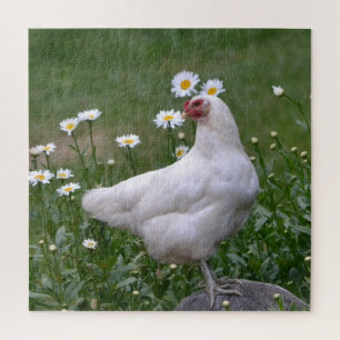 Puzzle Beau poulet et marguerites