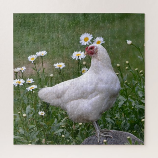 Puzzle Beau poulet et marguerites (Vertical)