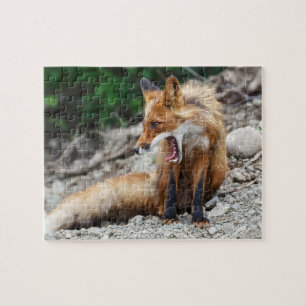 Puzzle Beau renard rouge avec la bouche grande ouverte