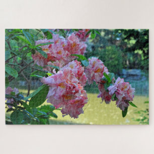 Puzzle Beau rhodos roses