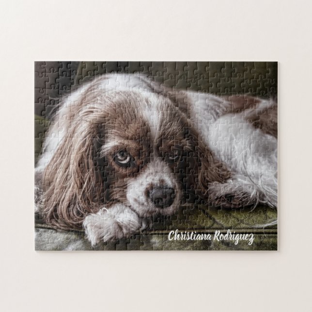 Puzzle Beau Roi Charles Spaniel (Horizontal)