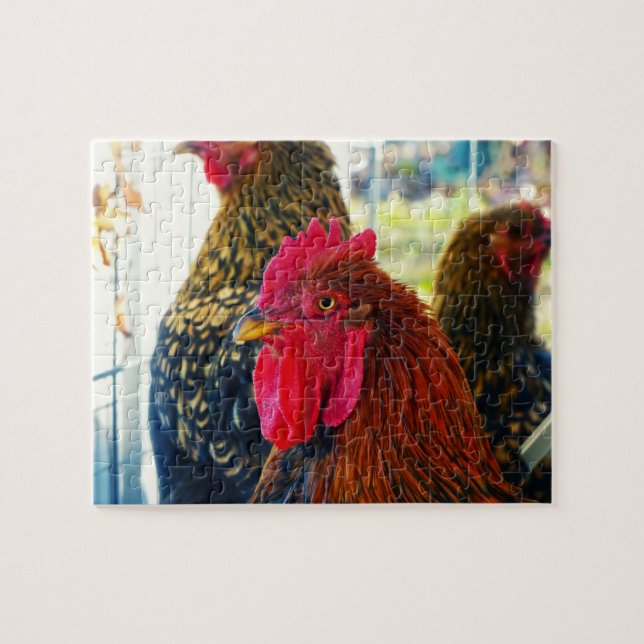 Puzzle Beau Rooster (Horizontal)