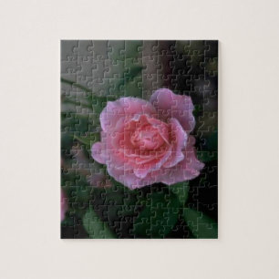 Puzzle Beau Rose simple rose