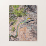 Puzzle Beau serpent d'arbre vert australien, 252 pièces<br><div class="desc">Ce puzzle unique présente la photo d'un magnifique serpent vert coloré. Je suis tombé sur cette jolie créature dans le parc national de Crows Nest dans le Queensland, en Australie. Vous aurez beaucoup de plaisir à piquer celui-ci ensemble ! Parfait pour quand vous devez rester à la maison. L'activité intérieure...</div>