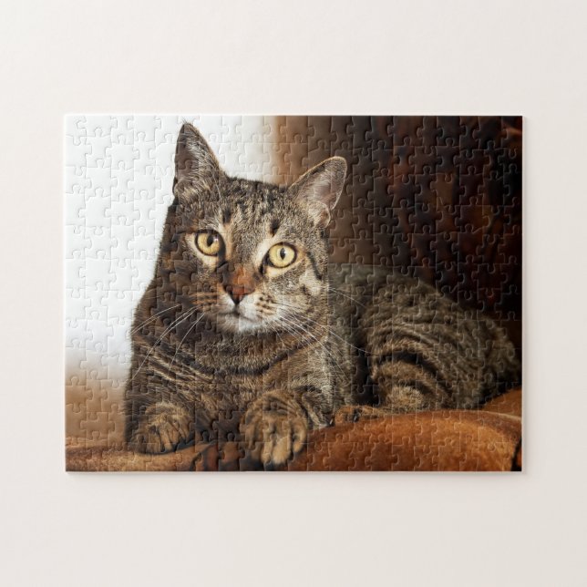 Puzzle Beau Tabby Cat (Horizontal)